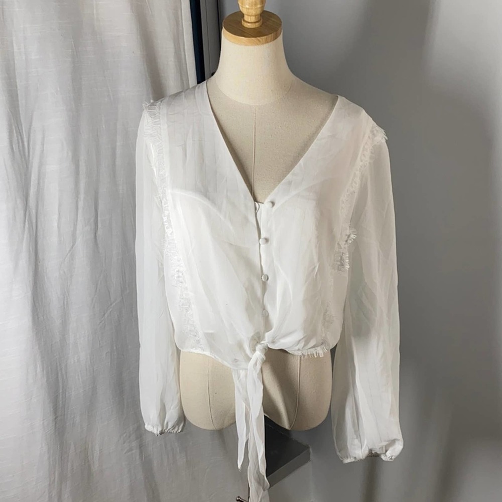 WAYF X Nordstrom sheer ruffle front button crop top blouse size L NWT
